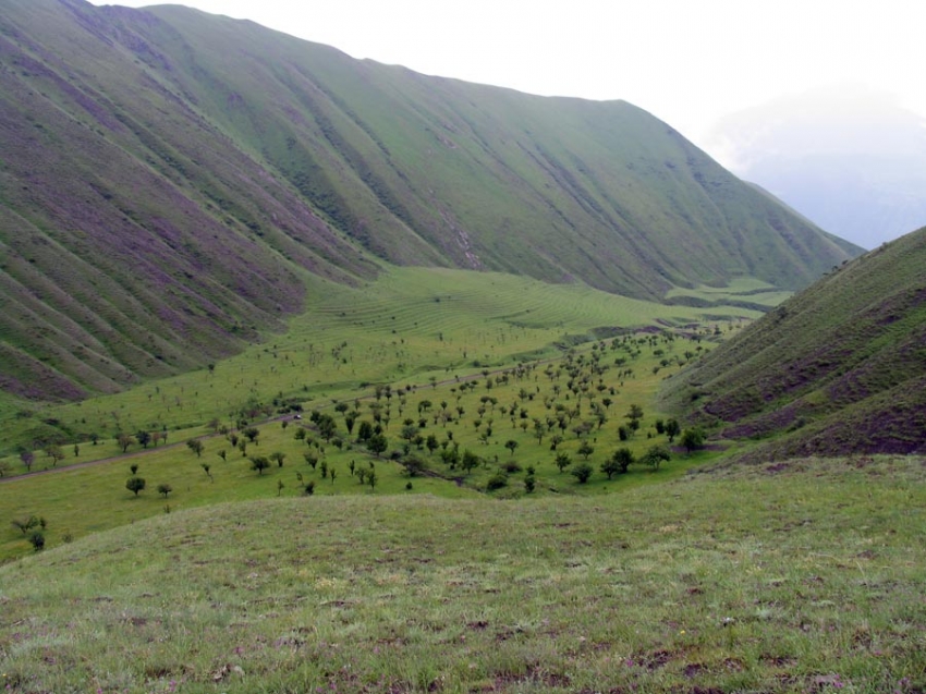 Самурская Долина